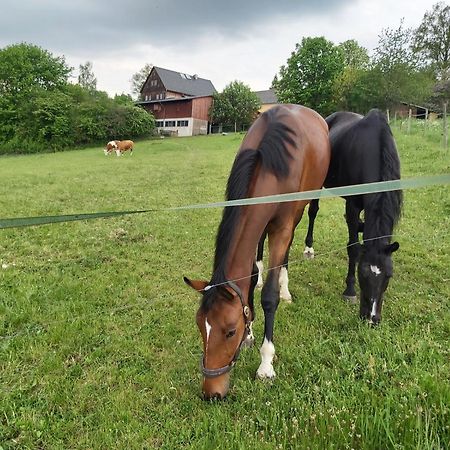 Glamping-Paradies Am Dengler Hof Hohenberg an der Eger 외부 사진